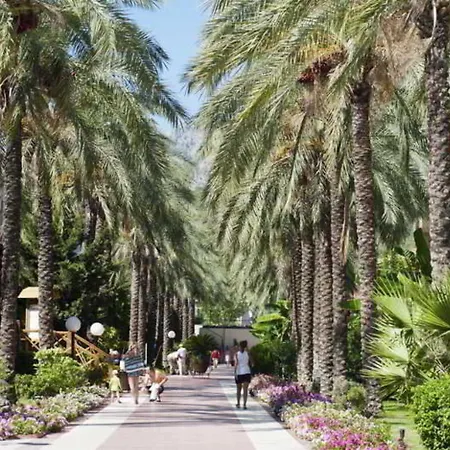 Crystal Aura Aqua Collection 5*