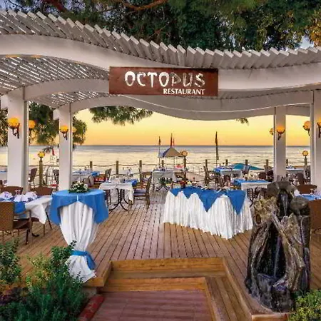 Crystal Aura Aqua Collection 5*