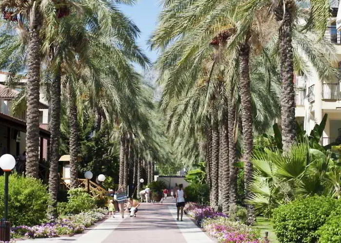 Crystal Aura Aqua Collection 5*